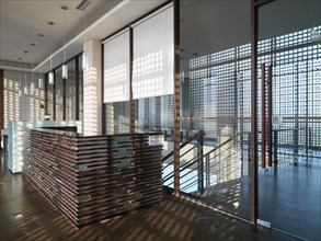 Modern interior with grids in front of windows