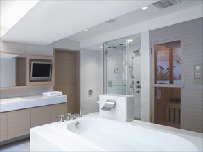 Modern bathroom with large bathtub and sauna