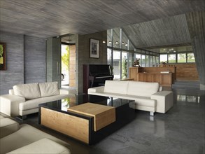 Industrial modern living room