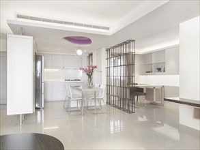 Modern kitchen and office with wire bookcase partition