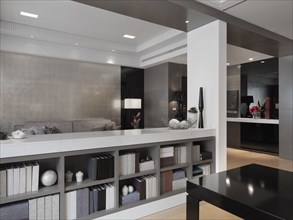 Half bookcase in modern home