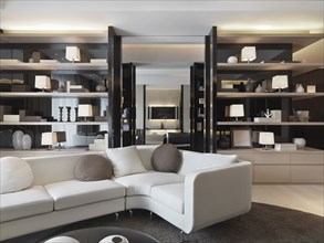 Modern living room with bookcases