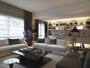 Contemporary living room with comfy sofas