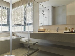 Modern bathroom with glass shower