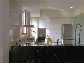 Modern kitchen with pull down faucet