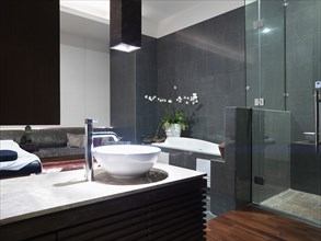 Large master bathroom with bowl sink