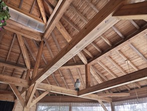 Detail wooden ceiling beams