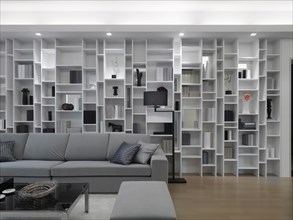 Modern living room with wall length bookcase