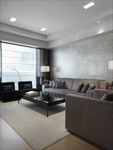 Modern living room with gray furnishings