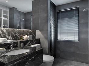 Modern bathroom with black and white marble sink