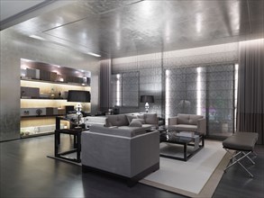 Modern silver living room