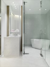 Free standing bathtub in modern bathroom
