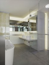 Bathroom with glass walls and door in modern home