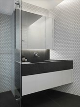 Sink in modern black and white bathroom