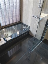 Glass shower and tile bathtub