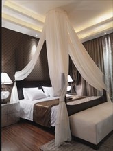 Mosquito net above bed
