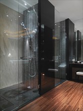 Dark glass shower in bathroom with hardwood floor