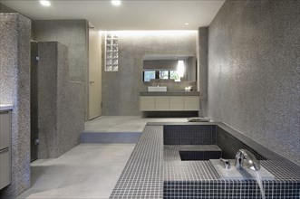 Large modern bathroom with mosaic tile bathtub