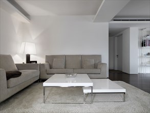 Small modern living room