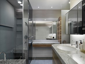 Modern bathroom with marble countertops