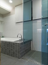 Mosaic tile bathtub and glass shower