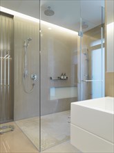 Large glass shower in modern bathroom