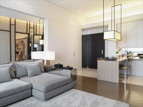 Modern interior apartment style home