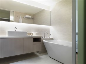 Light colored modern bathroom with large bathtub