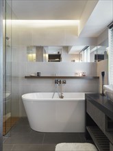 Large bathtub in modern bathroom
