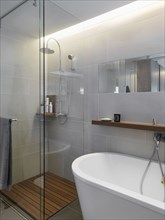 Small glass shower in corner of modern bathroom
