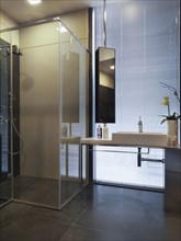 Sink and glass shower in modern bathroom