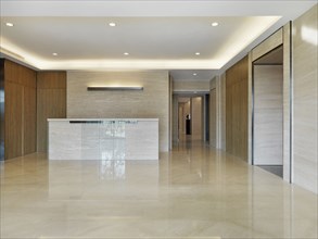 Reception desk in light-colored minimalism lobby