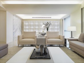 Modern monochromatic living room