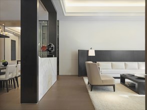 Minimalistic living room with area rug