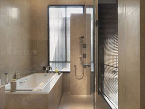 Shower and bathtub in modern bathroom