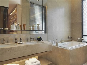 Sinks and bathtub in modern bathroom