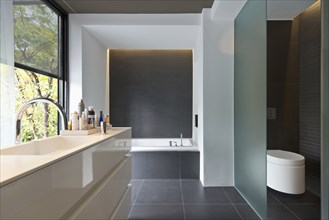 Contemporary bathroom with bath and commode