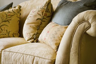 Detail of Elegant Sofa and Pillows