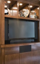 Entertainment Center with Large Television