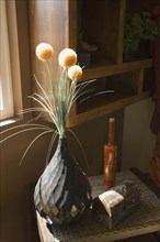 Indoor Plant in Vase