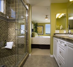 Bathroom with Ornately Tiled Shower