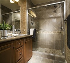Elegant Bathroom with Large Tiled Shower