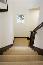 Traditional White Stairwell with Beige Carpeting