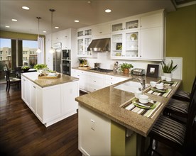 Contemporary kitchen with white cabinets