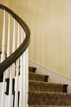 Contemporary Stairway with White Railings and Dark Wood Bannister