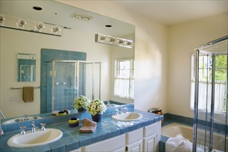 Bathroom with Blue Tile