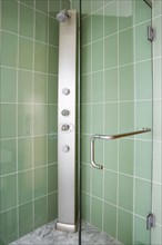 Modern Shower with Green Tile