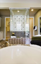 Image of bathtub and towels with shower in background.