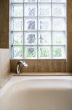 Detail of bathtub and cubed glass window.