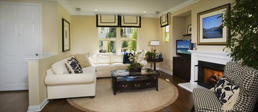 Living room with sectional sofa and circular area rug